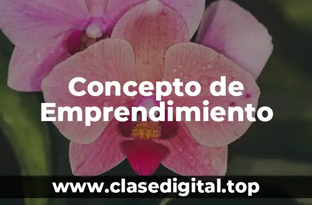 Concepto de Emprendimiento