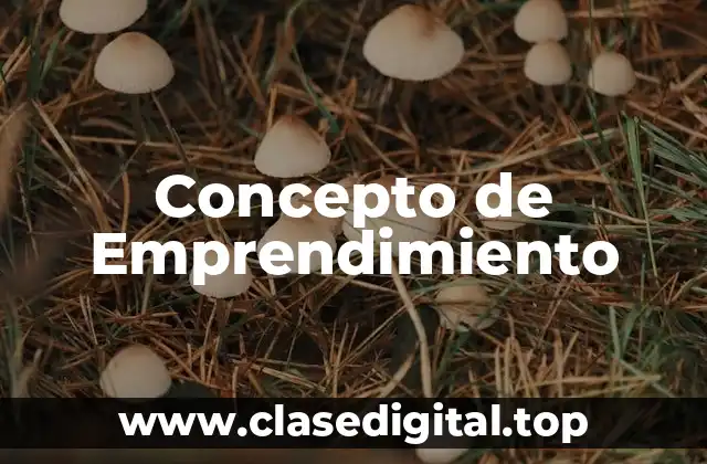 Concepto de Emprendimiento