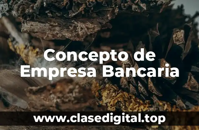 Concepto de Empresa Bancaria