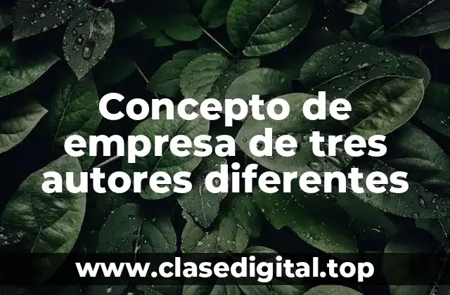 Concepto de empresa de tres autores diferentes