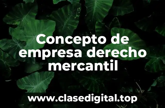 Concepto de empresa derecho mercantil