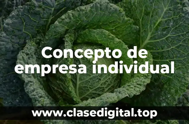 Concepto de empresa individual
