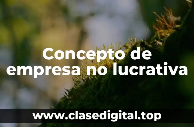 Concepto de empresa no lucrativa