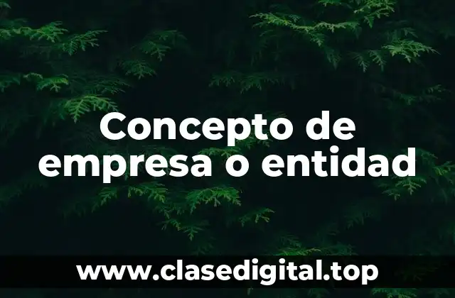 Concepto de empresa o entidad
