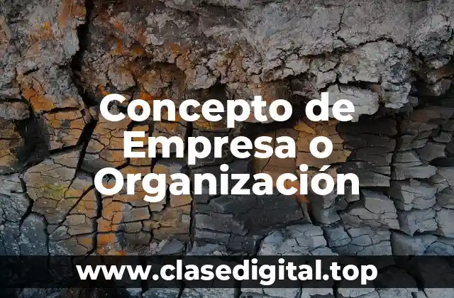 Concepto de Empresa o Organización