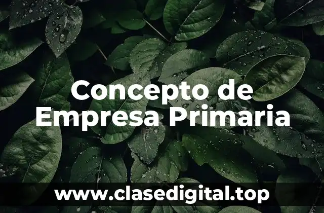 Concepto de Empresa Primaria