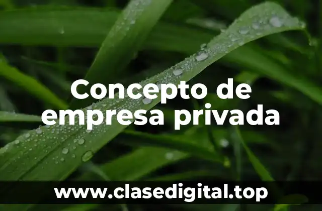 Concepto de empresa privada
