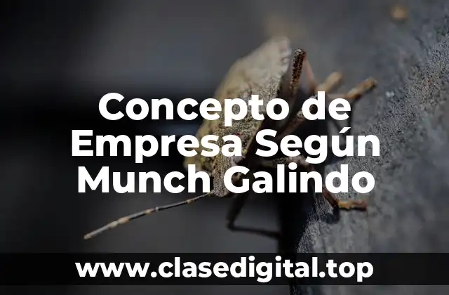 📗 Concepto de Empresa