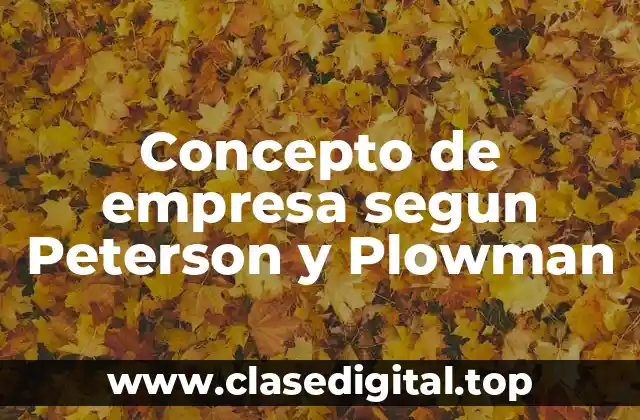 Concepto de empresa segun Peterson y Plowman