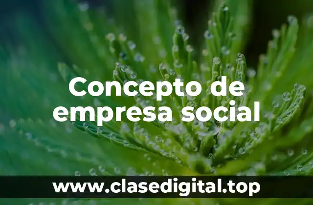 Concepto de empresa social