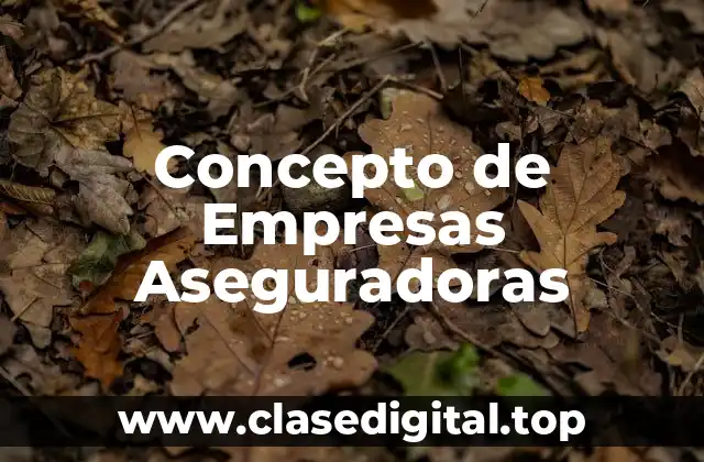 Concepto de Empresas Aseguradoras