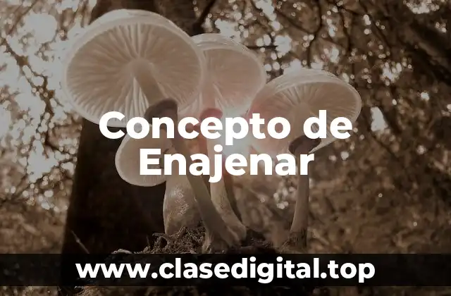 Concepto de Enajenar