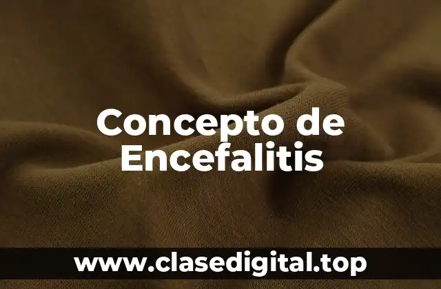 Concepto de Encefalitis