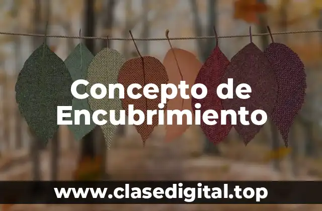 Concepto de Encubrimiento