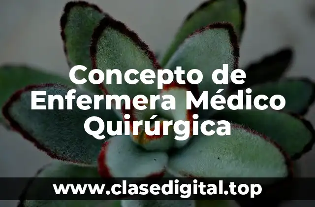 Concepto de Enfermera Médico Quirúrgica