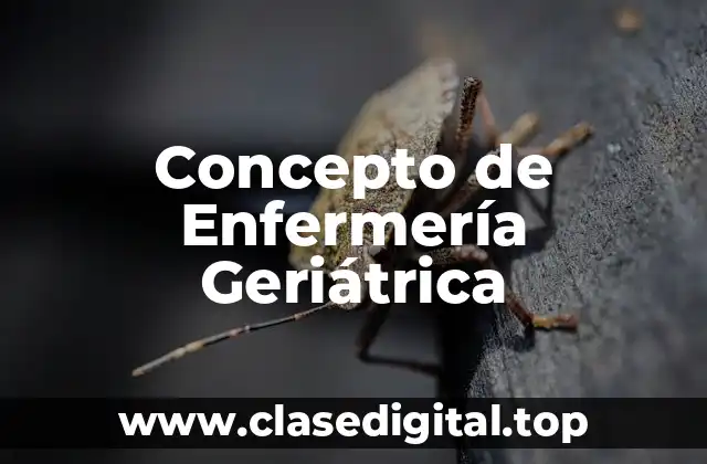 Concepto de Enfermería Geriátrica