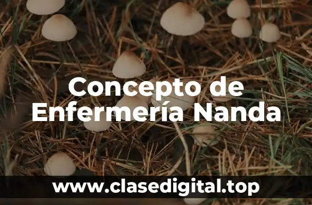 Concepto de Enfermería Nanda