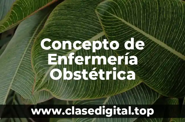 Concepto de Enfermería Obstétrica