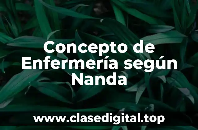 Concepto de Enfermería según Nanda
