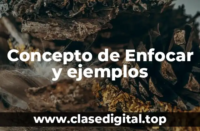 Concepto de Enfocar y ejemplos
