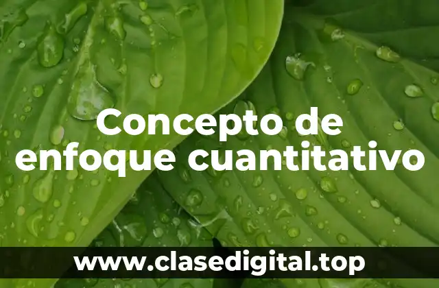 Concepto de enfoque cuantitativo
