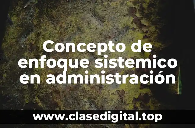 Concepto de enfoque sistemico en administración