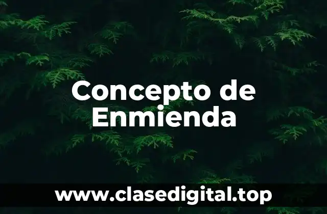 Concepto de Enmienda