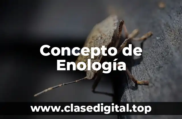 📗 Concepto de Enología