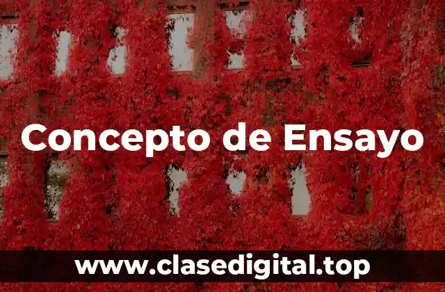 Concepto de Ensayo