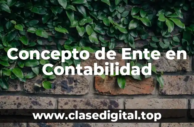 Concepto de Ente en Contabilidad