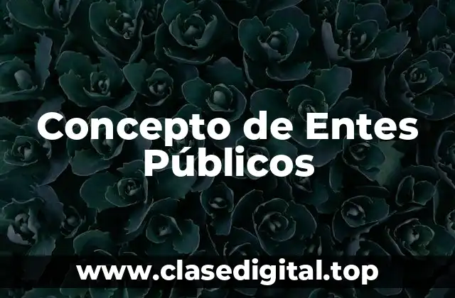 Concepto de Entes Públicos