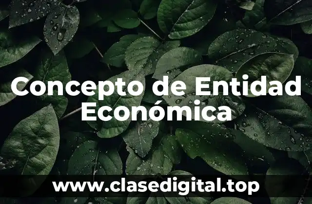 Concepto de Entidad Económica