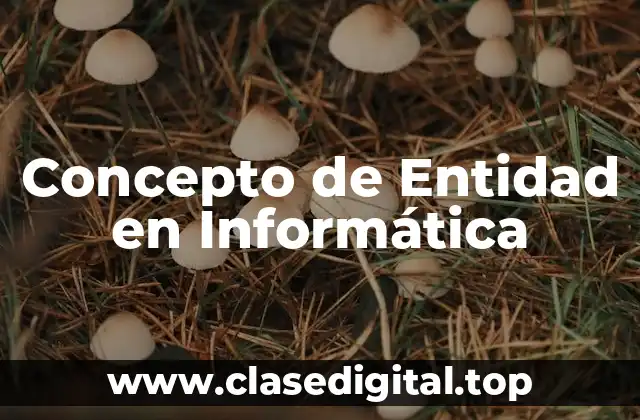 Concepto de Entidad en Informática