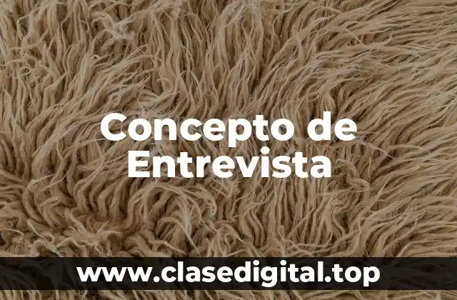 Concepto de Entrevista
