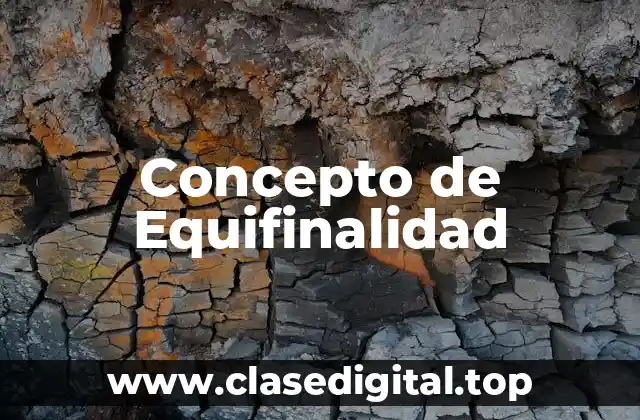 📗 Concepto de Equifinalidad