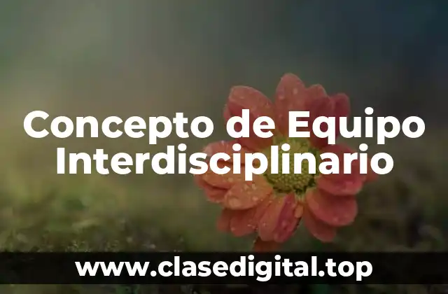 Concepto de Equipo Interdisciplinario