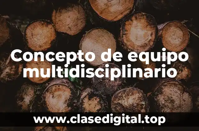 Concepto de equipo multidisciplinario