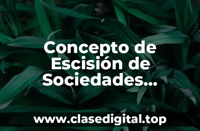 Concepto de Escisión de Sociedades Mercantiles