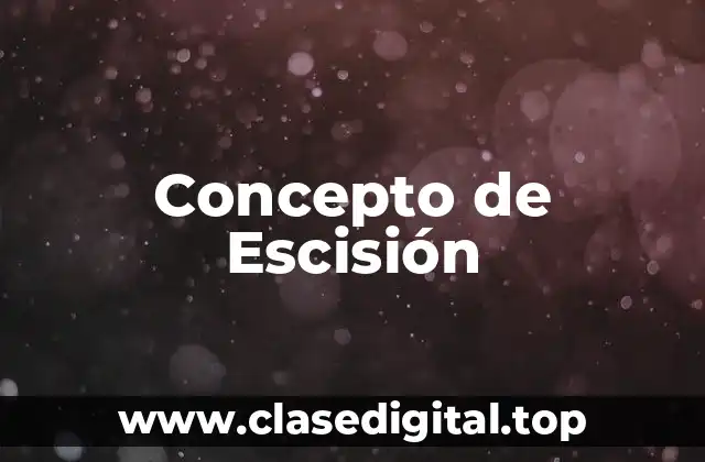 Concepto de Escisión