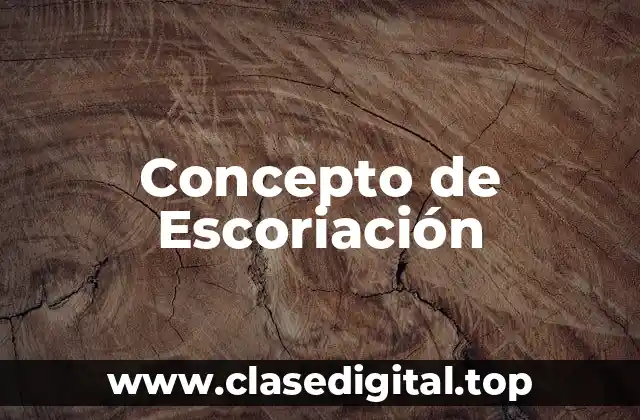 Concepto de Escoriación