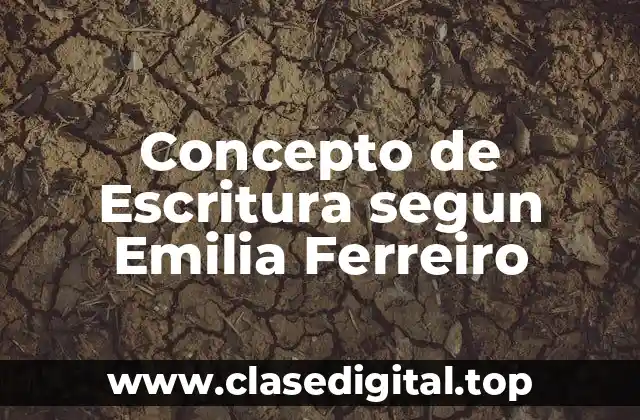 Concepto de Escritura segun Emilia Ferreiro