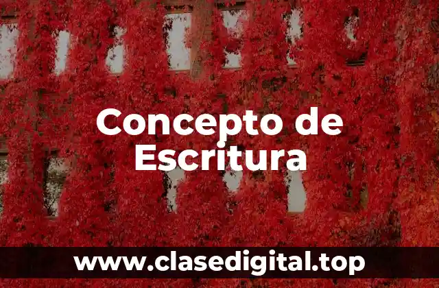 Concepto de Escritura