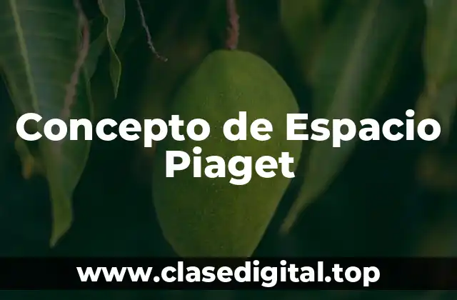 Concepto de Espacio Piaget