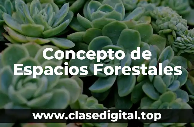Concepto de Espacios Forestales