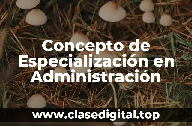 Concepto de Especialización en Administración