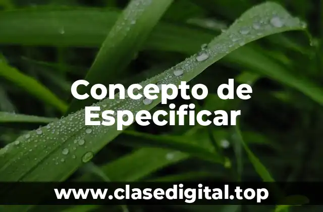 Concepto de Especificar