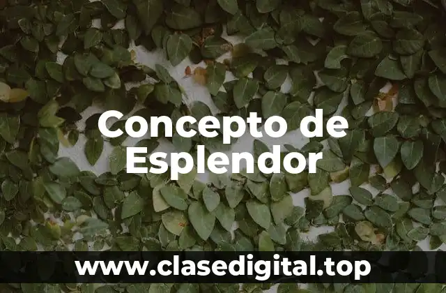 Concepto de Esplendor