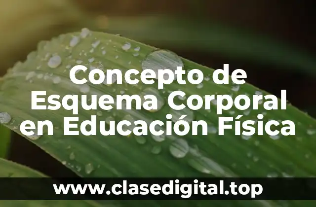 Concepto de Esquema Corporal en Educación Física