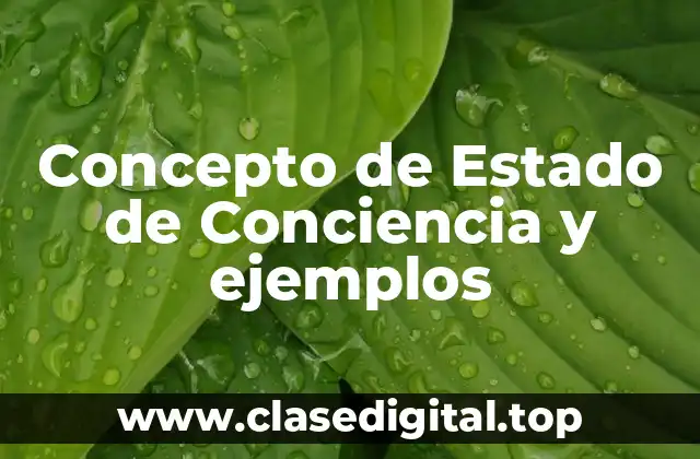 Concepto de Estado de Conciencia y ejemplos