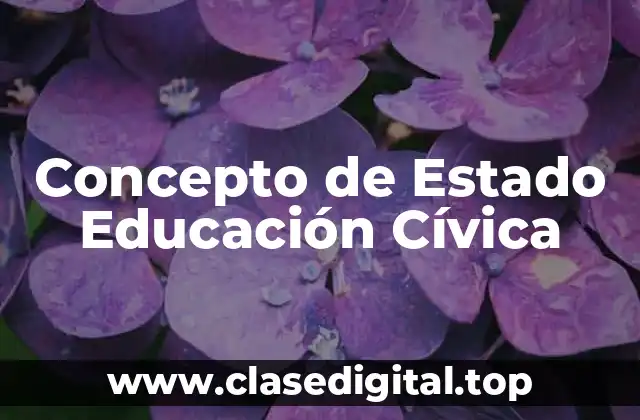 Concepto de Estado Educación Cívica